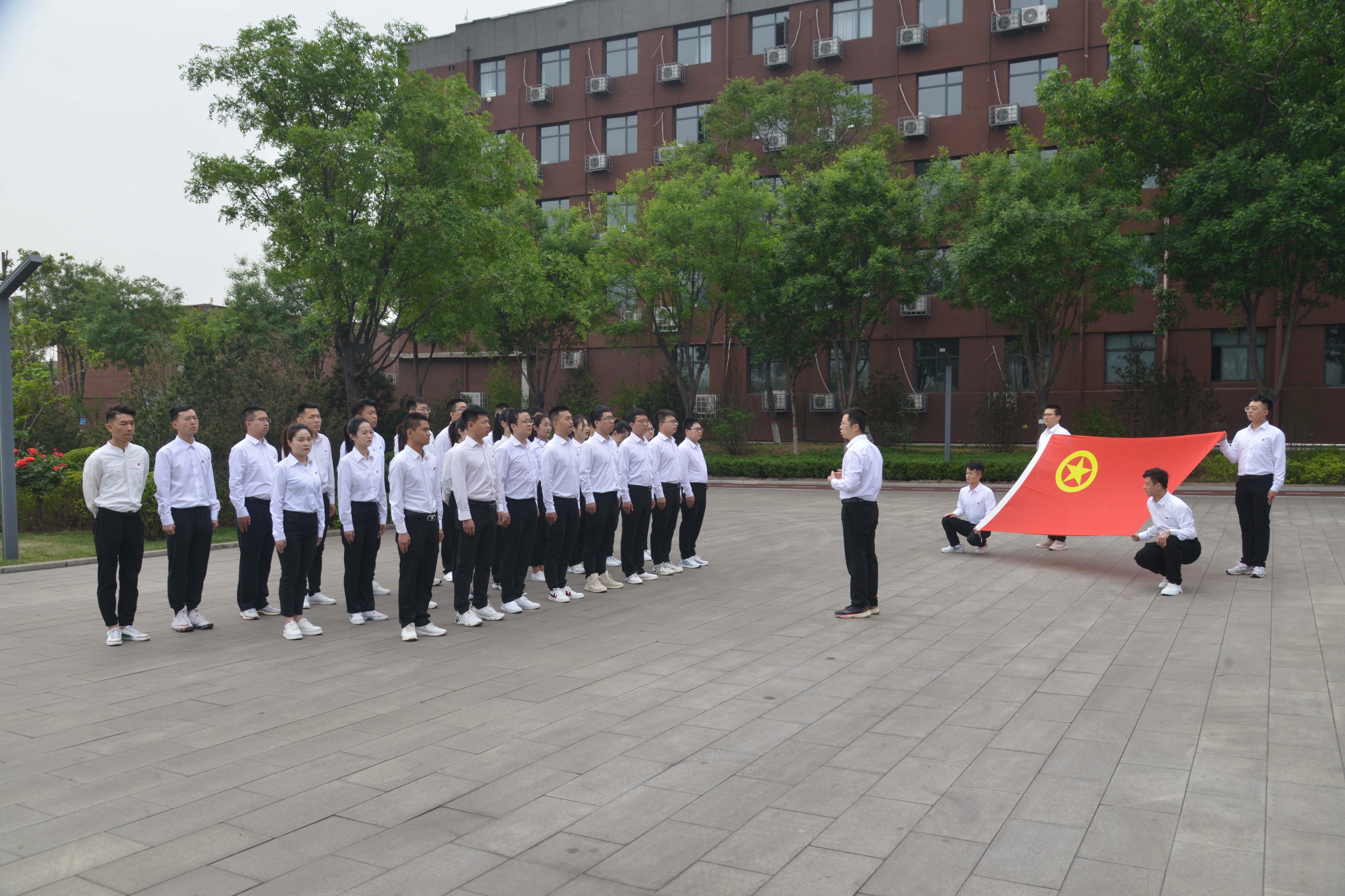 龍鋼公司團委榮獲全國鋼鐵行業(yè)“五四紅旗團委（標(biāo)兵）