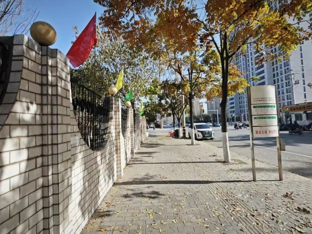一抹冬日暖陽，照亮你的心房