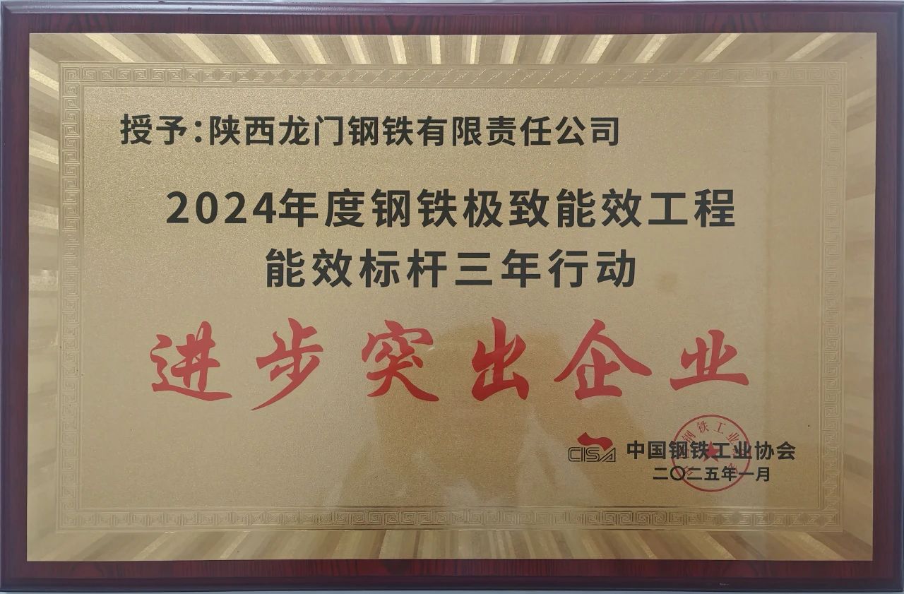 喜訊！龍鋼公司榮獲2024年度鋼鐵極致能效工程能效 標(biāo)桿三年行動“進(jìn)步突出企業(yè)”