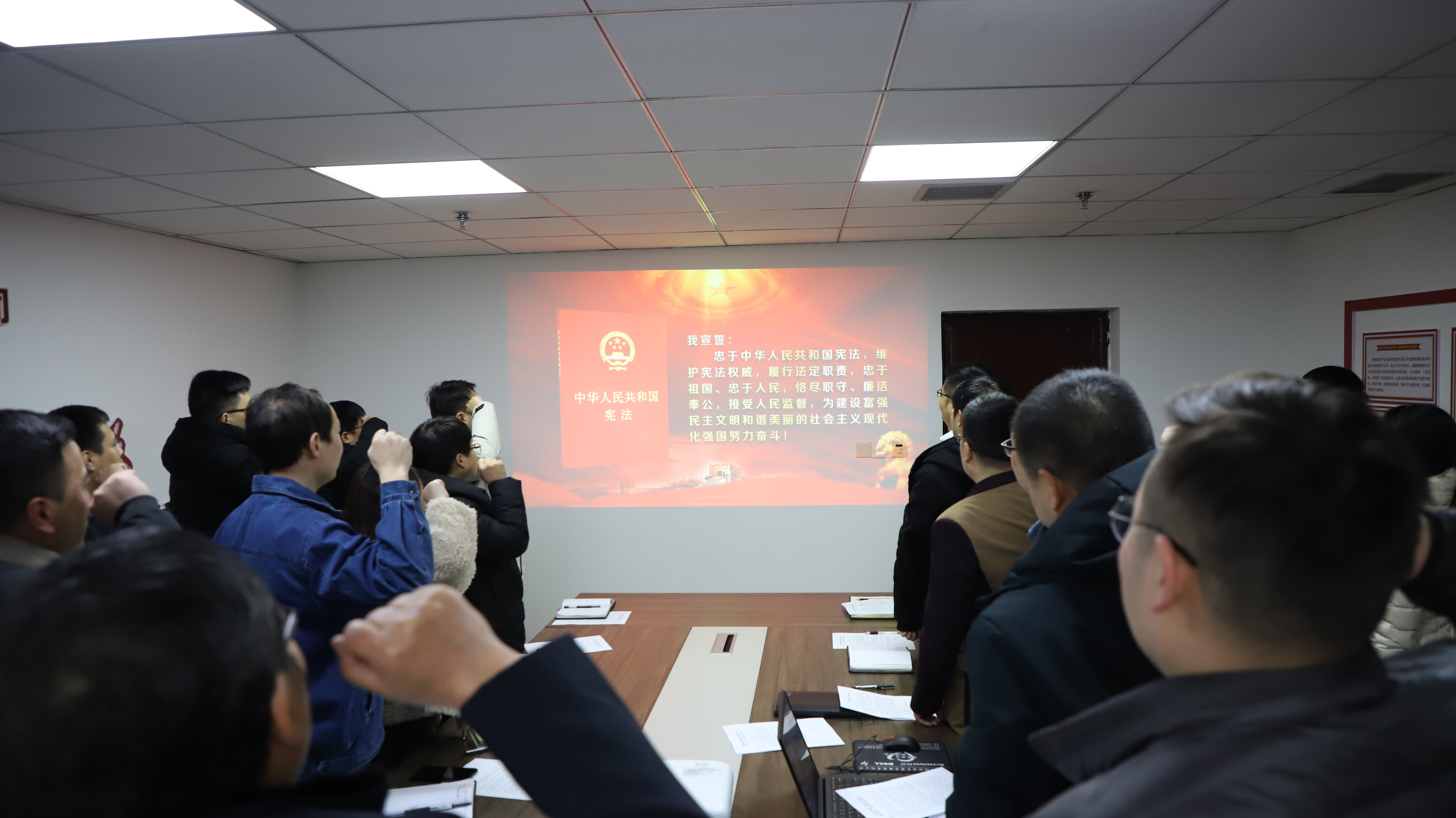 大力弘揚憲法精神 共同推進(jìn)依法治企